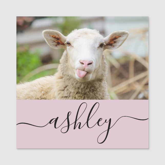 Schafzunge Namensschild (Vorderseite)