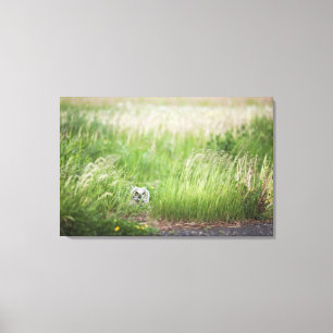 Schale im Gras Leinwanddruck
