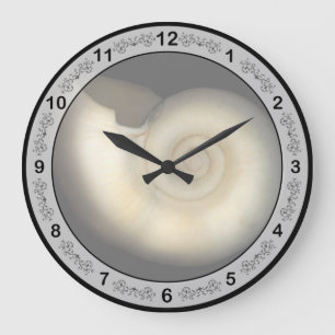 Schale - Konchologie - Nautilus Große Wanduhr