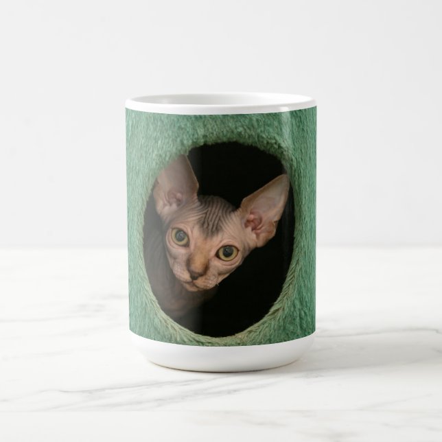 Schale mit einem niedlichen sphynx Kätzchen Tasse (Mittel)