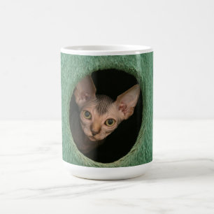 Schale mit einem niedlichen sphynx Kätzchen Tasse