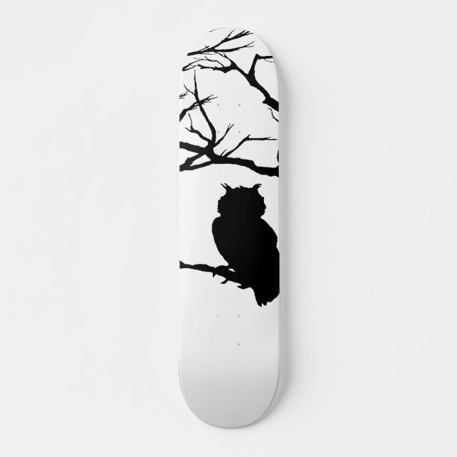 Schale/Skateboard Skateboard (Vorne)