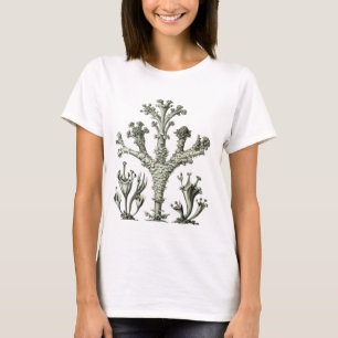 Schalen-Flechte T-Shirt
