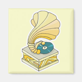 Schallplattenspieler Magnet