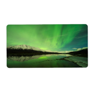 Schalotten Aurora
