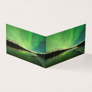 Schalotten Aurora