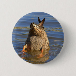Schaltfläche "Abdrücken" Button