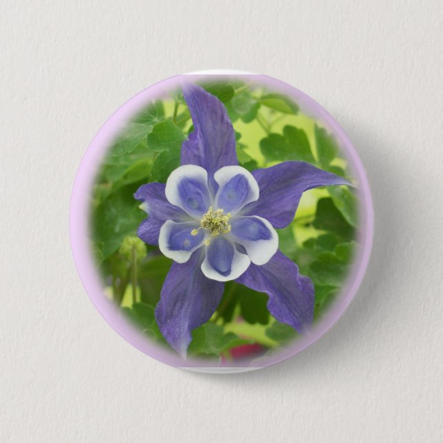 Schaltfläche "Aquilegia Columbine Blume" Button (Vorderseite)