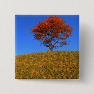 Schaltfläche "Autotag löschen" Button