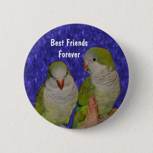Schaltfläche "Beste Freunde Niedlicher Vögel - Fre Button