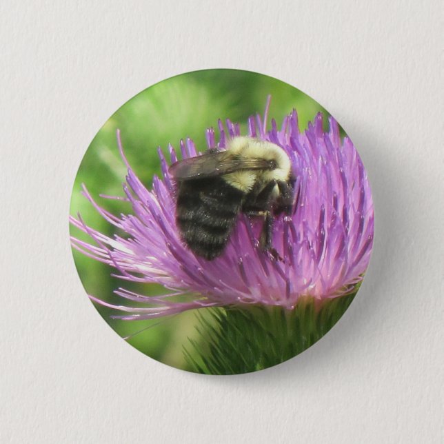 Schaltfläche "Biene und Verdünnung" Button (Vorderseite)