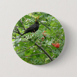 Schaltfläche "Blackbird and Berries" Button