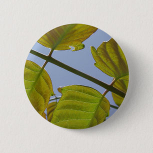 Schaltfläche "Blätter im Frühjahr" Button