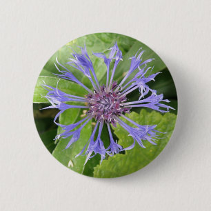 Schaltfläche Blauer Kornblume Button