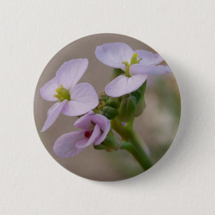 Schaltfläche bleibende Blume Button