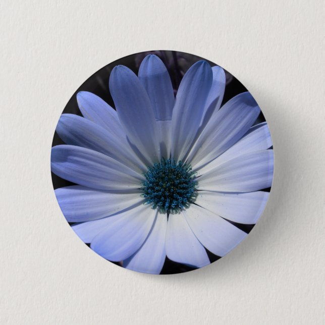 Schaltfläche Blue Daisy Blume Button (Vorderseite)