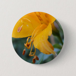 Schaltfläche "Blume" Button