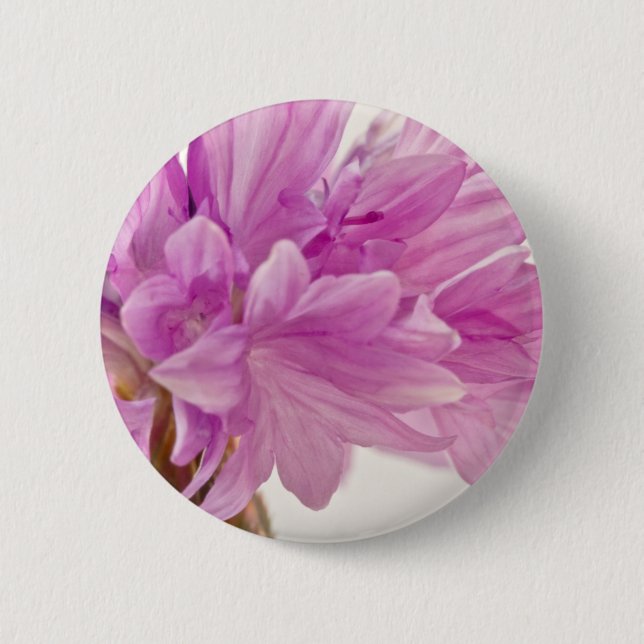 Schaltfläche Button (Vorderseite)