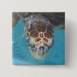 Schaltfläche Button