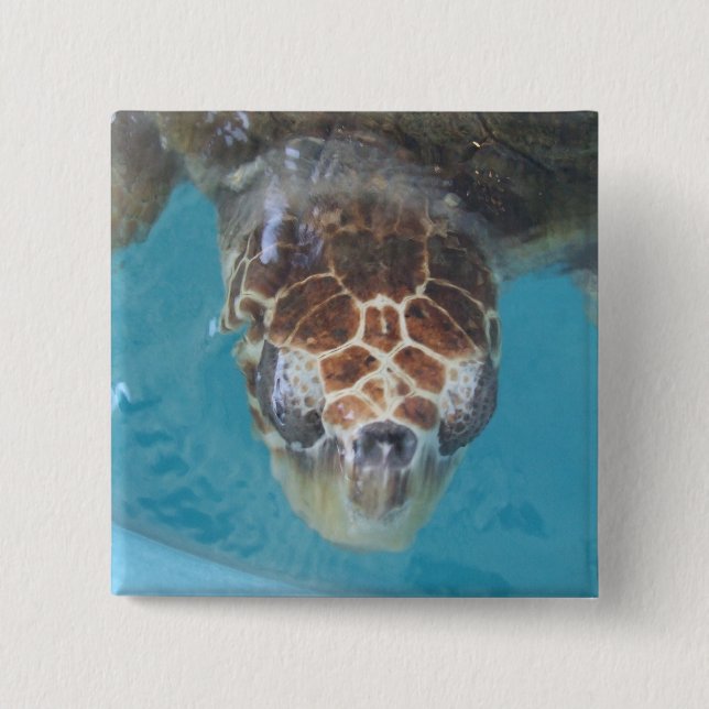 Schaltfläche Button (Vorderseite)