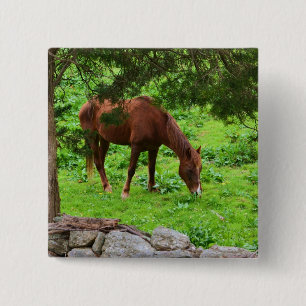 Schaltfläche Button