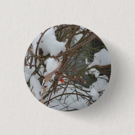 Schaltfläche Button