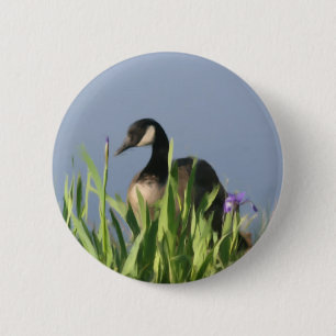 Schaltfläche "Canada Goose Irish Animal Art" Button