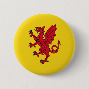 Schaltfläche "Flag" für Somerset-Pinback Button