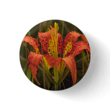 Schaltfläche "Florida Lily"
