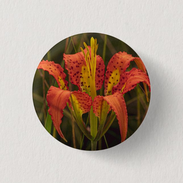Schaltfläche "Florida Lily" Button (Vorderseite)