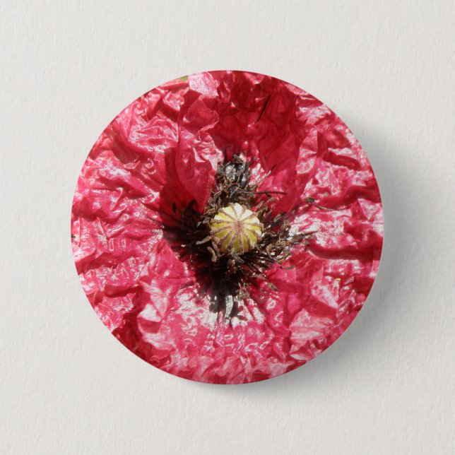 Schaltfläche für die Macro-Blume mit hübschem rote Button (Vorderseite)