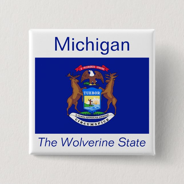 Schaltfläche für die Michigan-Flagge Button (Vorderseite)