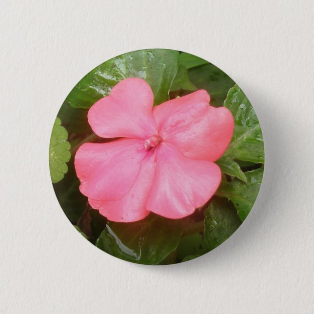 Schaltfläche für die rosa Impatiens-Blume Button (Vorderseite)