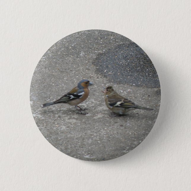 Schaltfläche "füttre Me Chaffinch" Button (Vorderseite)