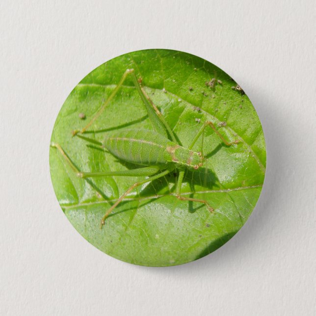 Schaltfläche "Green Cricket Camouflage" Button (Vorderseite)