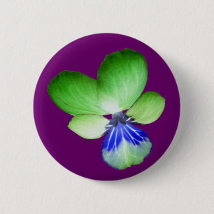 Schaltfläche Grün und Blau Button
