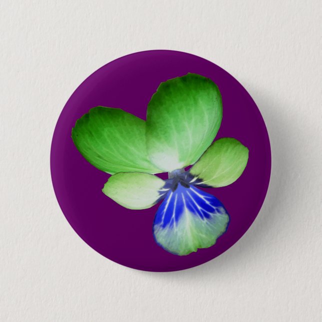 Schaltfläche Grün und Blau Button (Vorderseite)
