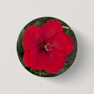 Schaltfläche Hibiskus Button