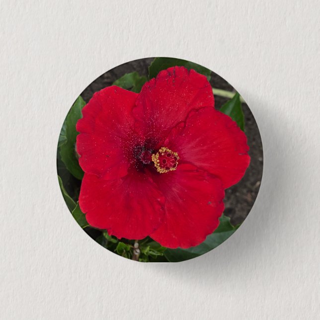 Schaltfläche Hibiskus Button (Vorderseite)