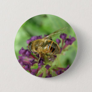 Schaltfläche Honigbiene und violette Blumen Button