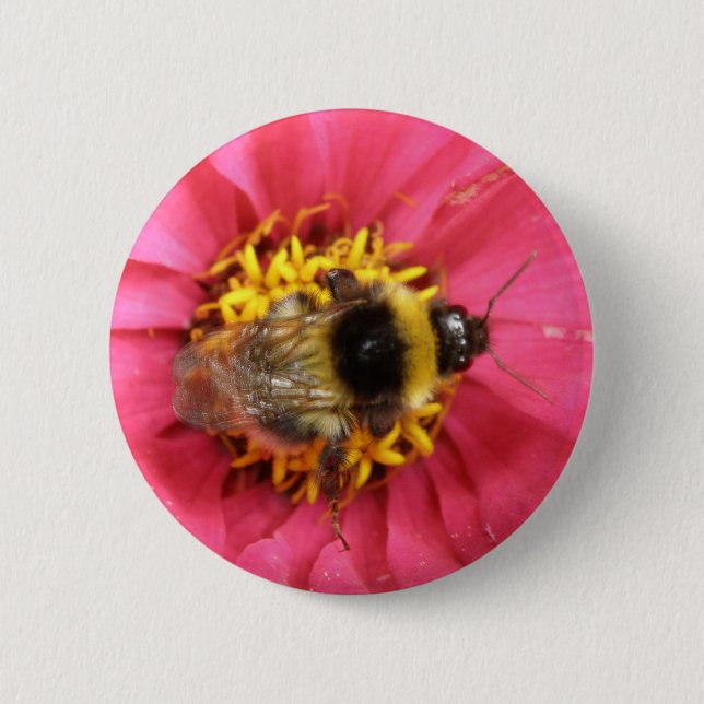 Schaltfläche Hummel Button (Vorderseite)