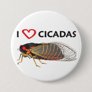 Schaltfläche "I Liebe Cicada" Button
