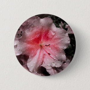 Schaltfläche "Inner Glow" Button