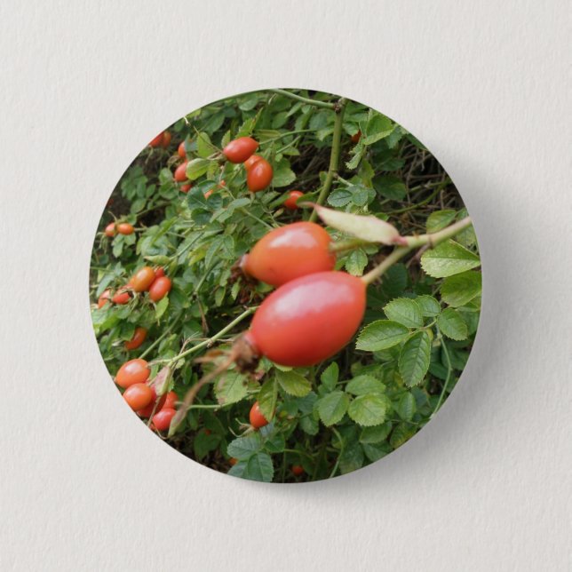 Schaltfläche "Juicy Rote Rose Hips" Button (Vorderseite)