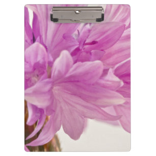 Schaltfläche Klemmbrett