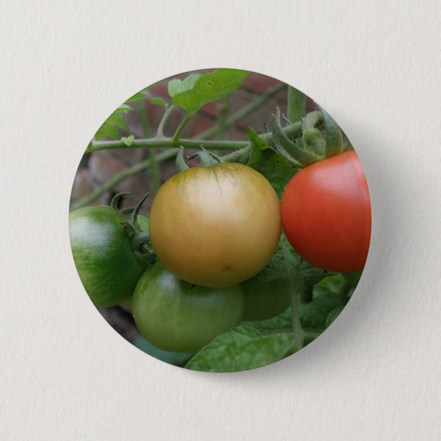 Schaltfläche "Leichtkartoffeln" Button (Vorderseite)