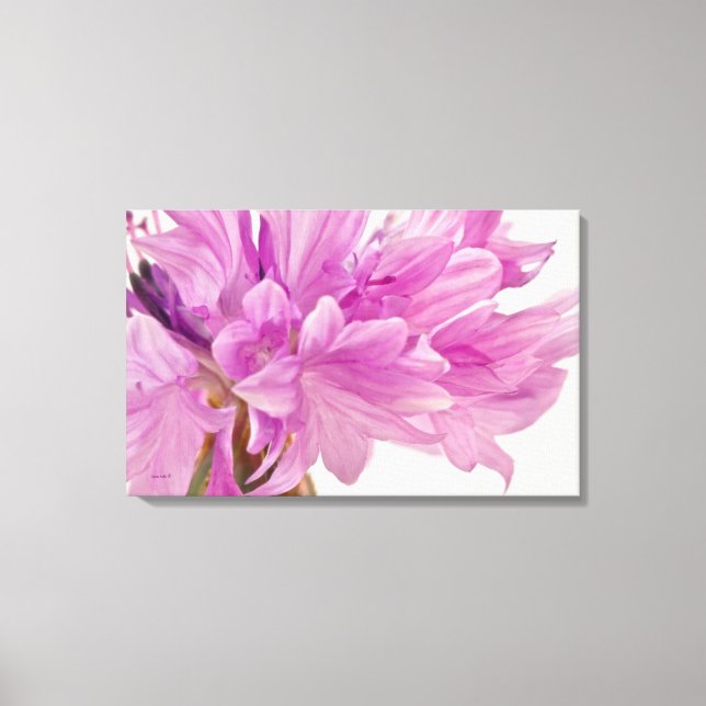 Schaltfläche Leinwanddruck (Vorderseite)