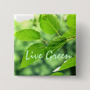Schaltfläche "Live Green" Button