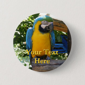 Schaltfläche Macaw Button
