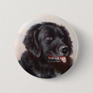 Schaltfläche "Neufundländer" Button